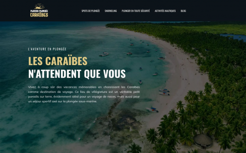 https://www.plaisir-plongee-caraibes.com